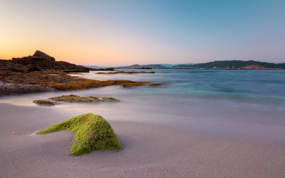 10 Tips for Finding Mindful Peace Amidst the Festive Holidays Rush