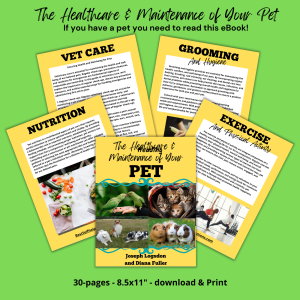Healthcare And Maintenance Of Your Pet eBook