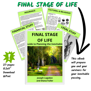 Final Stage of Life eBook